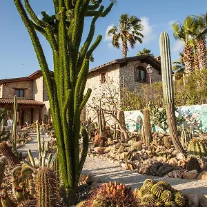 Garden Cactus Casa rural